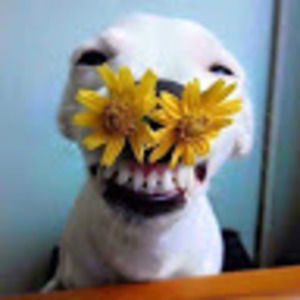 Meet your Posher, Daniela